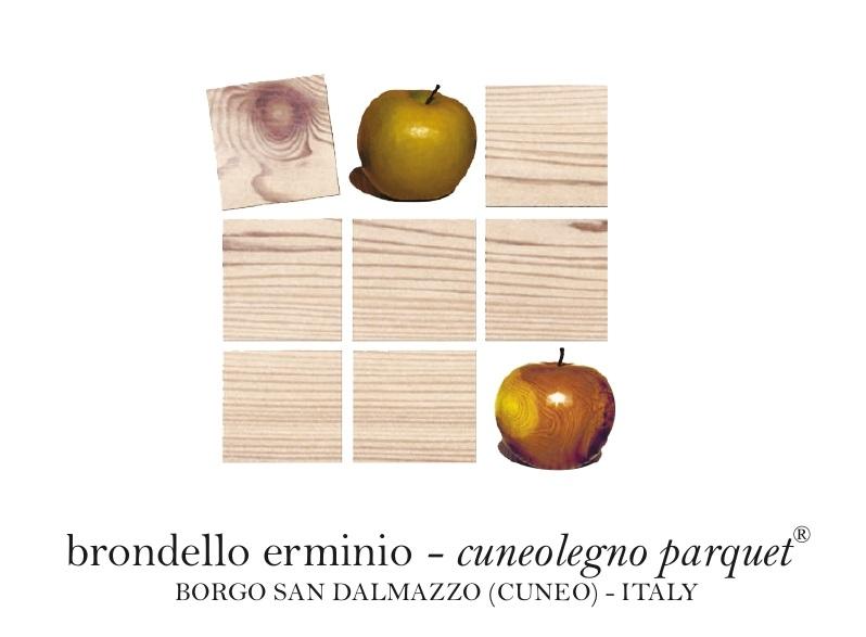Logo BRONDELLO ERMINIO